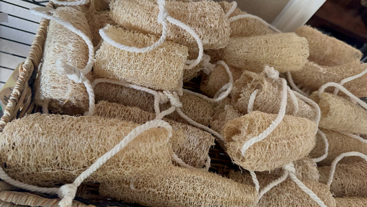 Organic Luffa Sponges