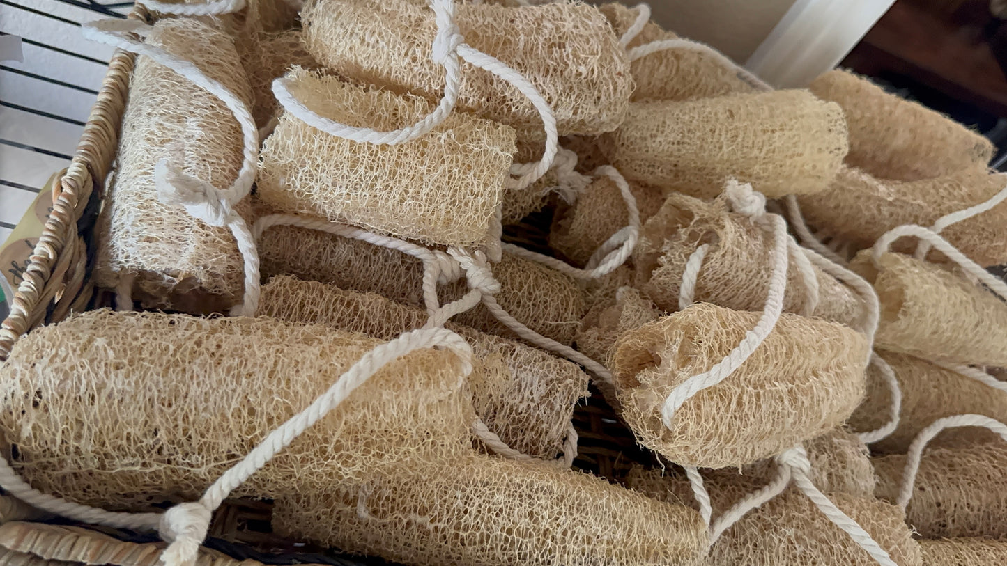 Organic Luffa Sponges